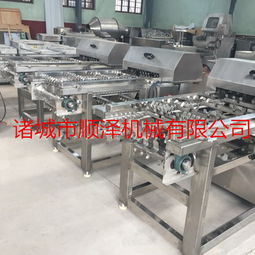 順澤機(jī)械速凍玉米切段機(jī)產(chǎn)品報(bào)價(jià)與設(shè)備特性解析