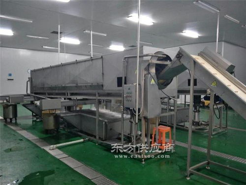小型核桃仁去皮機(jī) 天津富瑞德食品機(jī)械的創(chuàng)新解決方案