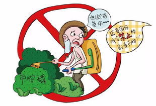 初級農(nóng)產(chǎn)品原料的食品安全風(fēng)險與農(nóng)藥管理探討