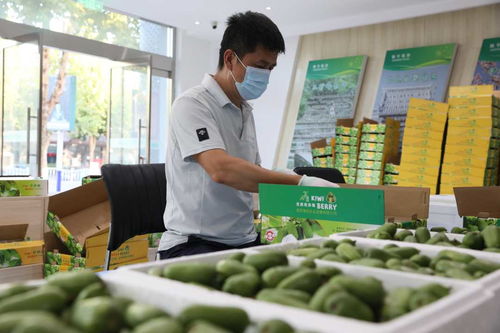 河北順平 電商助農(nóng)產(chǎn)品打開(kāi)“云”銷路