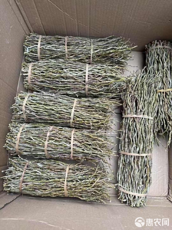 鐵皮石斛 膠質好、干貨打粉、泡水，你不知道的初級農產品秘密